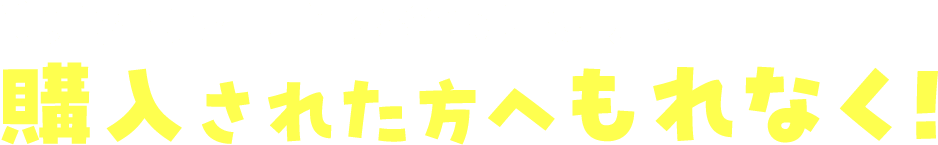 美浦村特産品詰め合わせバッグ 購入された方へもれなく！