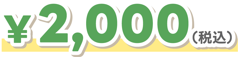 ¥2,000（税込）